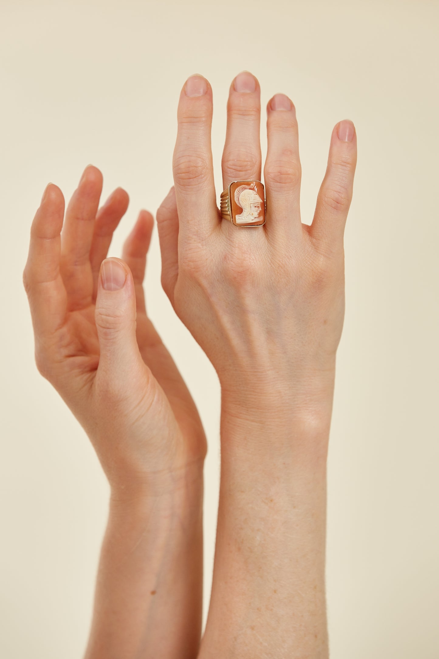 Gold plated rectangular "warrior" shell cameo