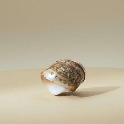 "Tidal Trace" Shell Ring accented with 9 Kt yellow gold and encrusted with diamonds