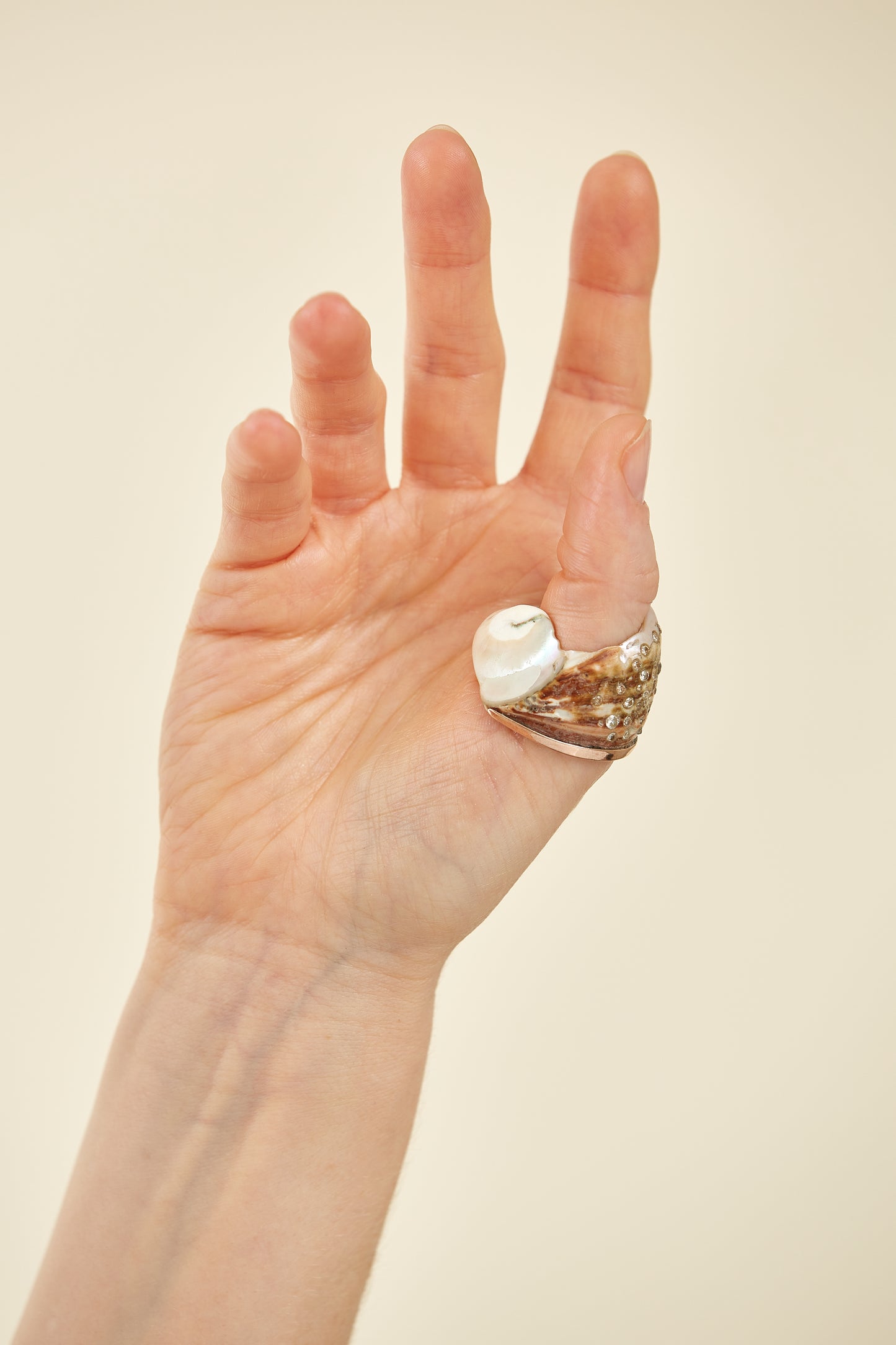 "Tidal Trace" Shell Ring accented with 9 Kt yellow gold and encrusted with diamonds