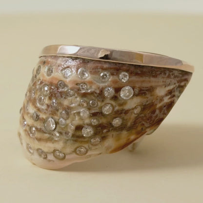 "Tidal Trace" Shell Ring accented with 9 Kt yellow gold and encrusted with diamonds